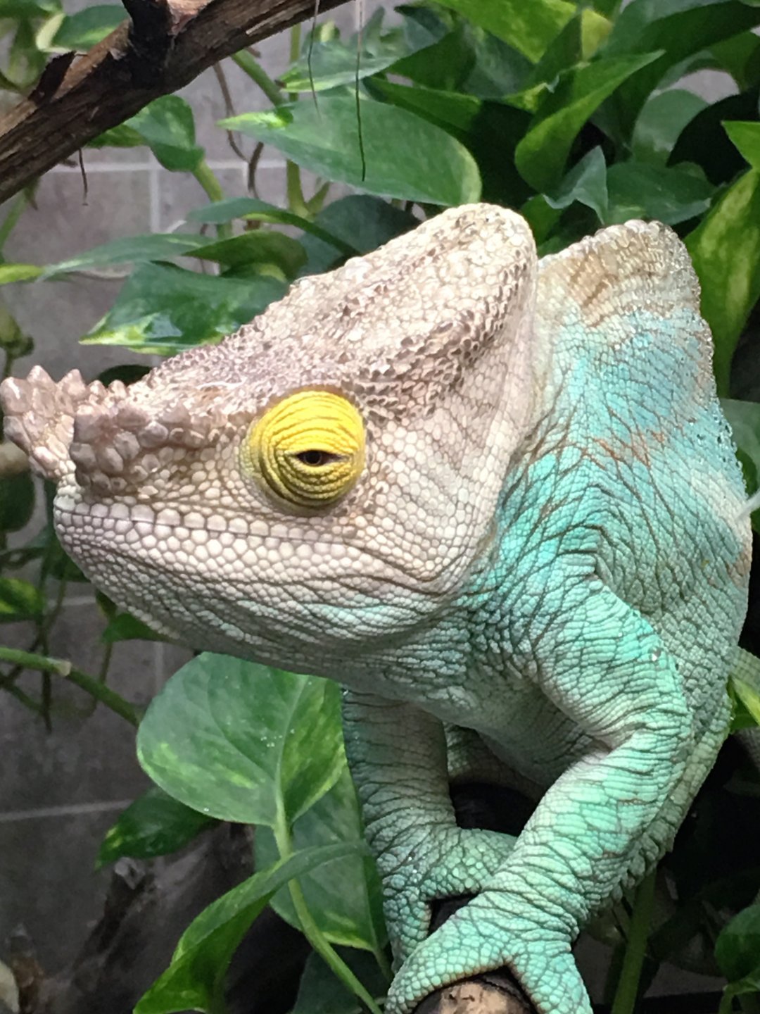 How's my jawline? I just shaved...