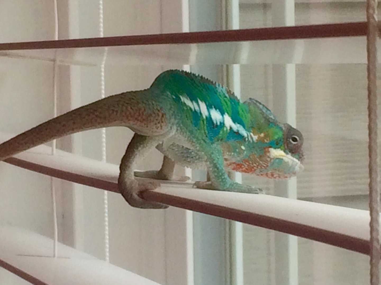 Hugo's first glimpse of the outside world. Mezmorizing!