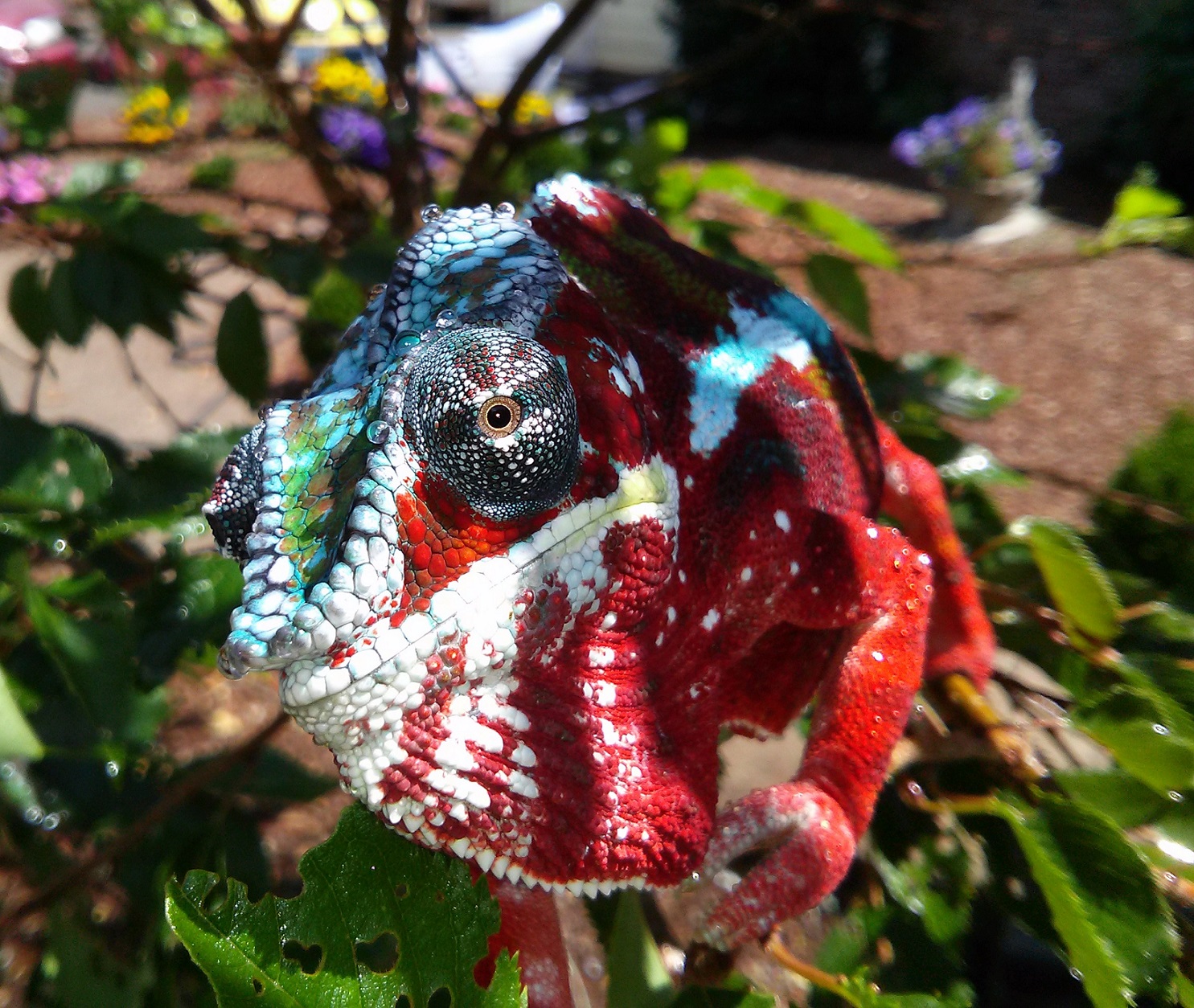 Hunter In The Shadows