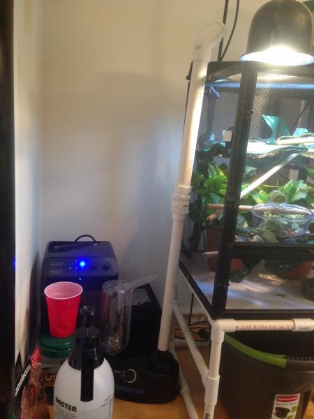 I ditched the hose that came with the reptifogger and added a pvc line instead. (increased from 1/3 in to 1 in) No more water accumulation in the hose