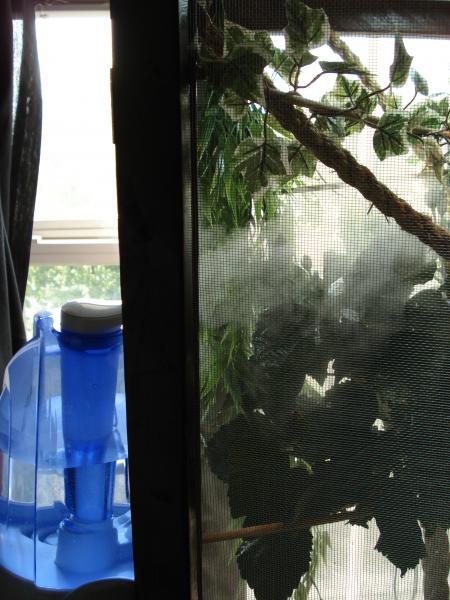 I have a humidifier next to his cage to help keep the humidity up.