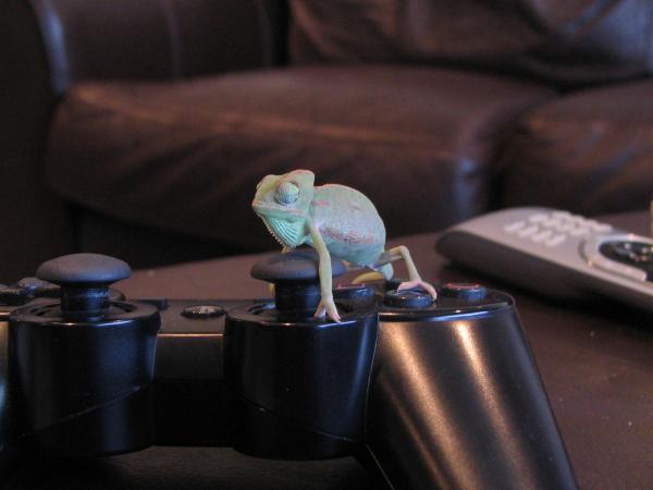 I have too many of him on the controller huh?