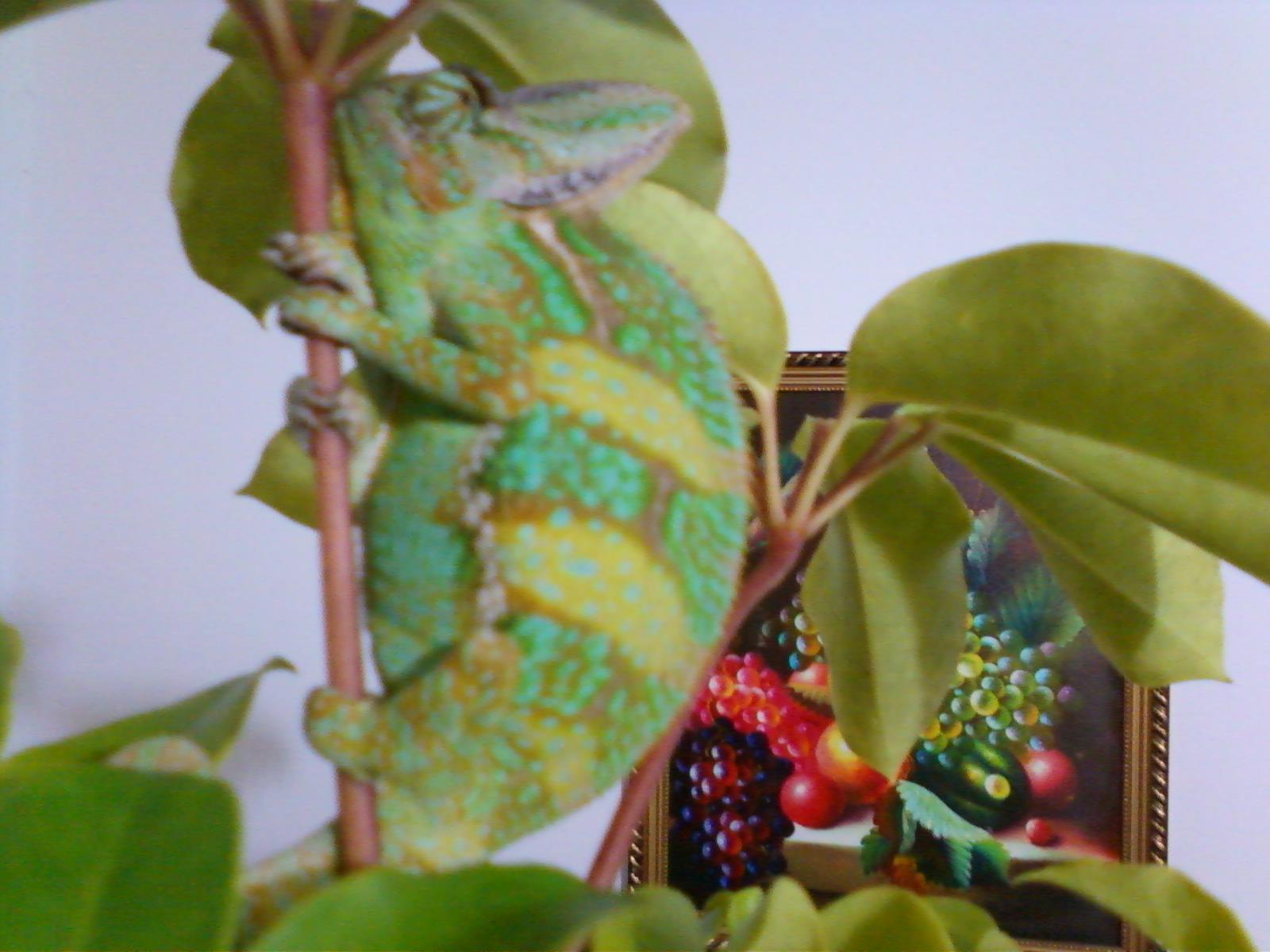 I Know You Can Not See Me. I Think?