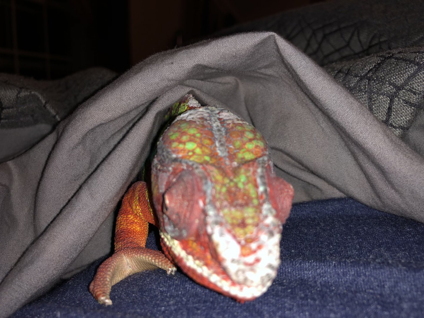 I like to snuggle when I’m cold.