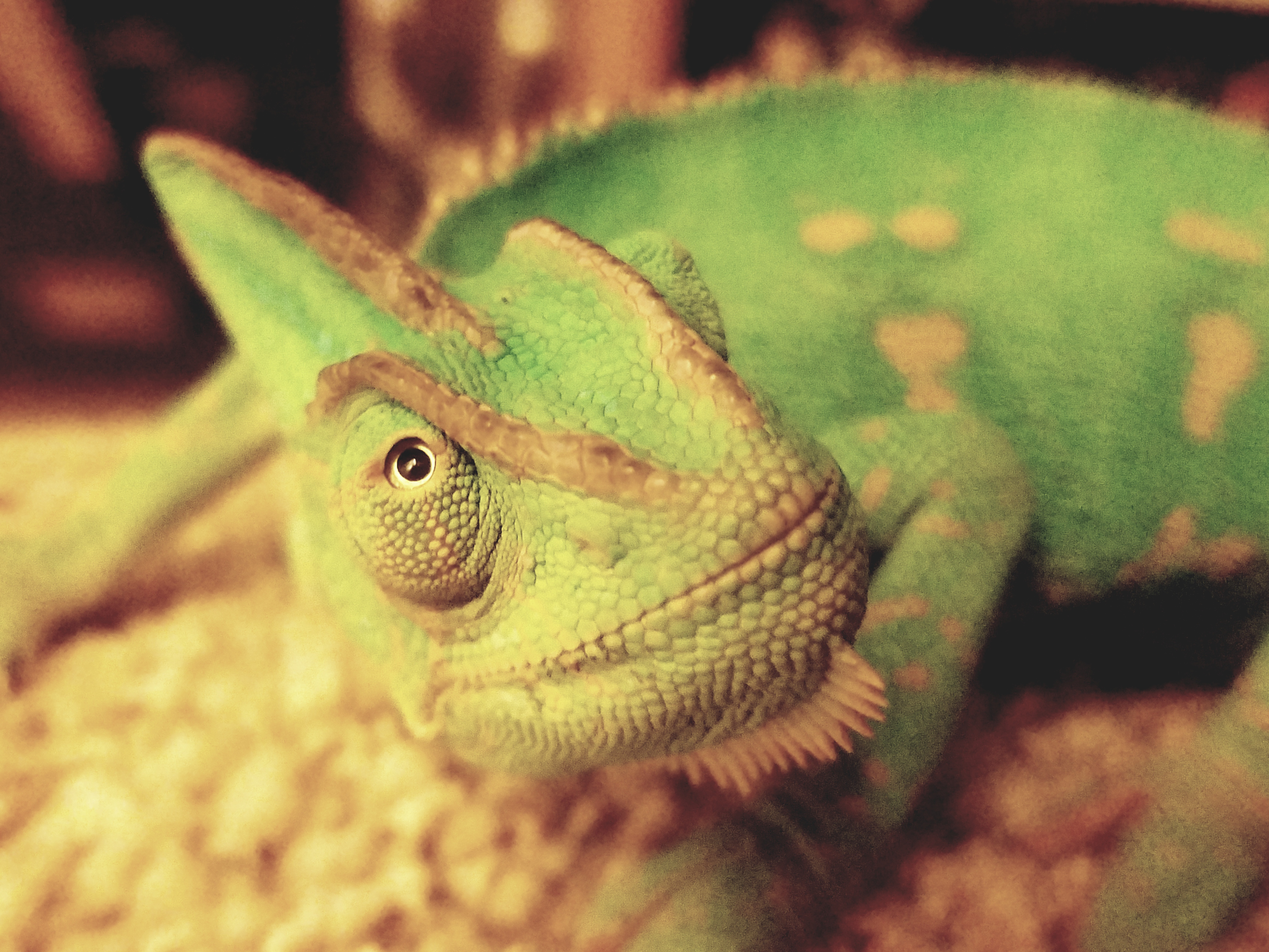 I love this face