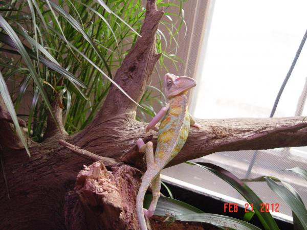 I love this stick