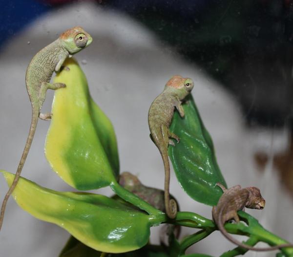 i promise we be good!!!!