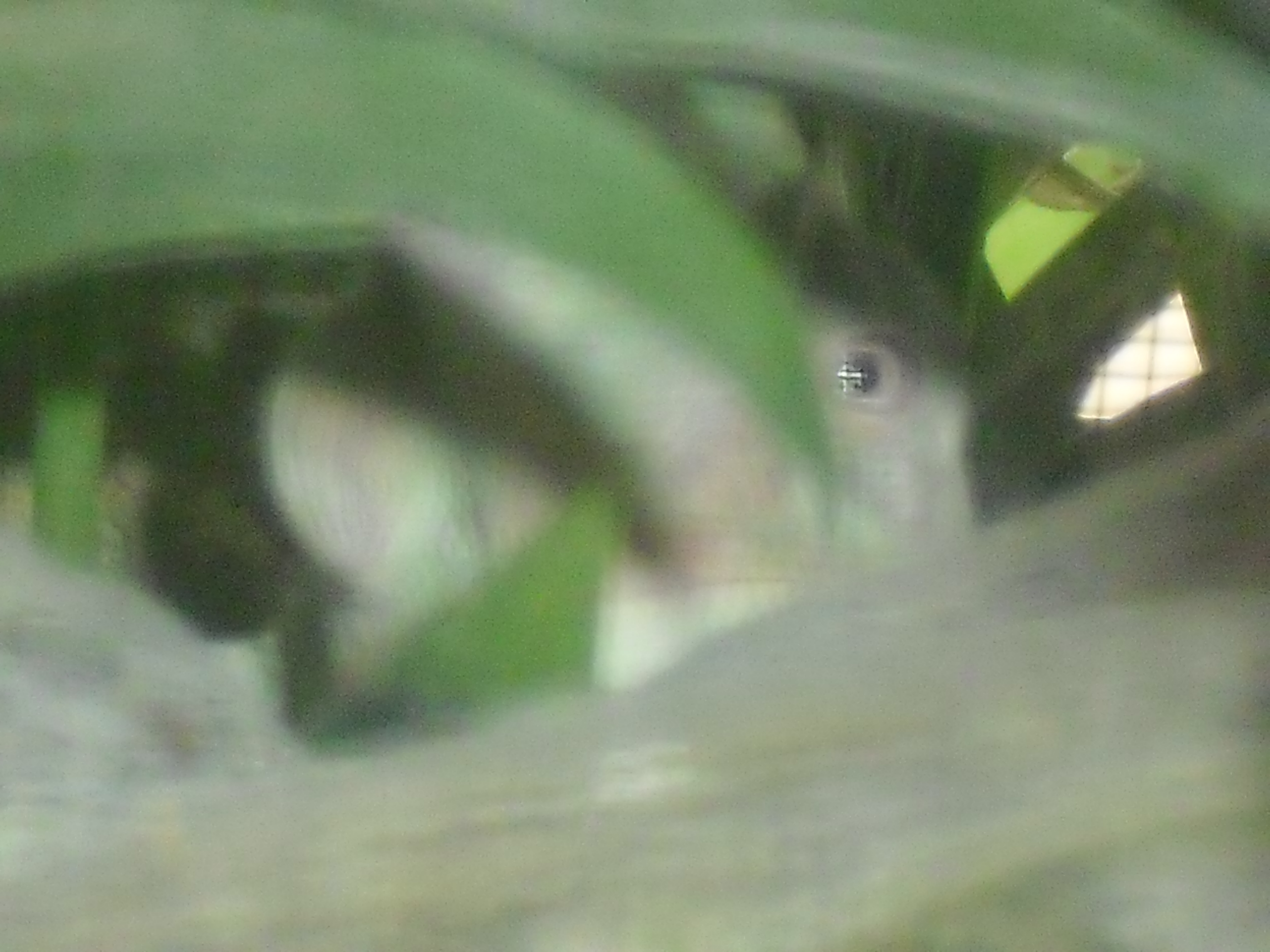 I See You