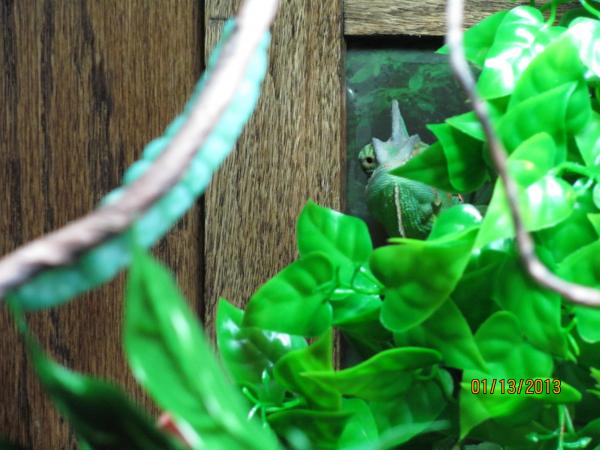 I Spy something yummy!!!