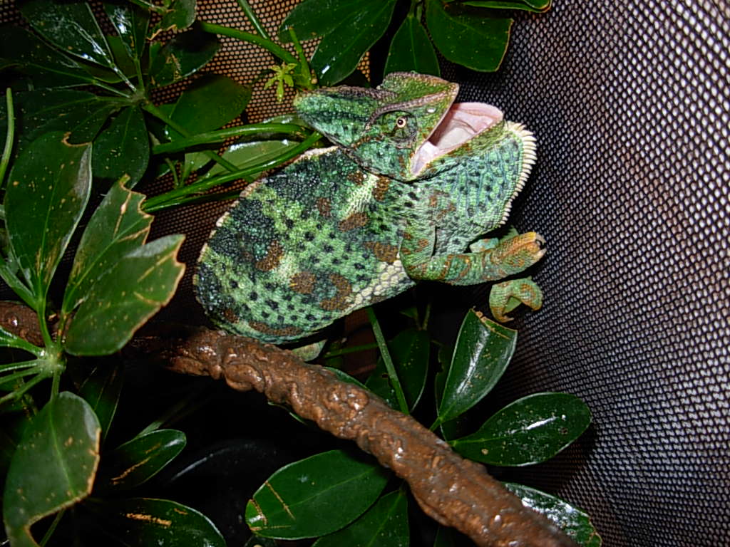 I'm Not Angry...really!