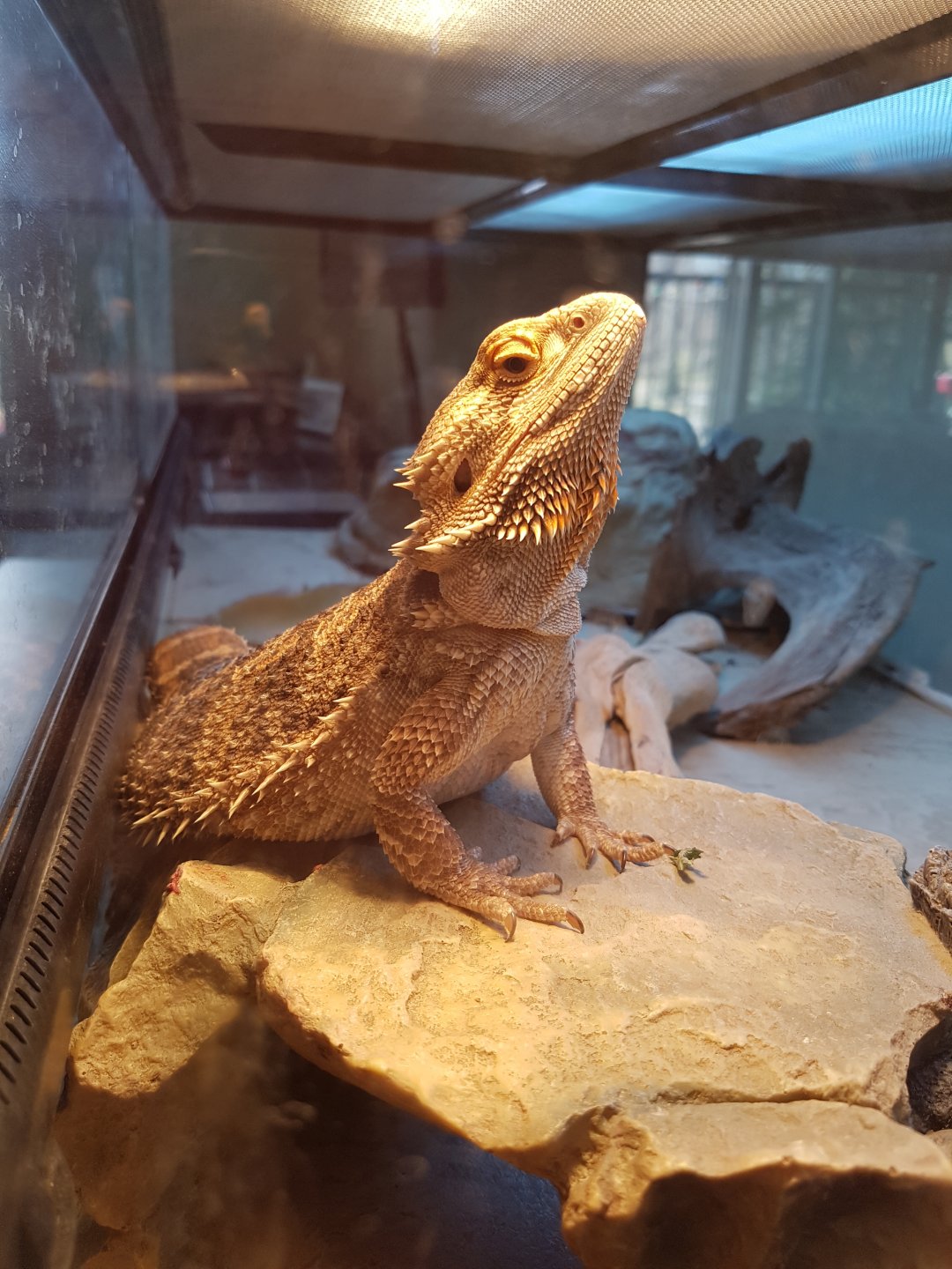 I'm silently judging you