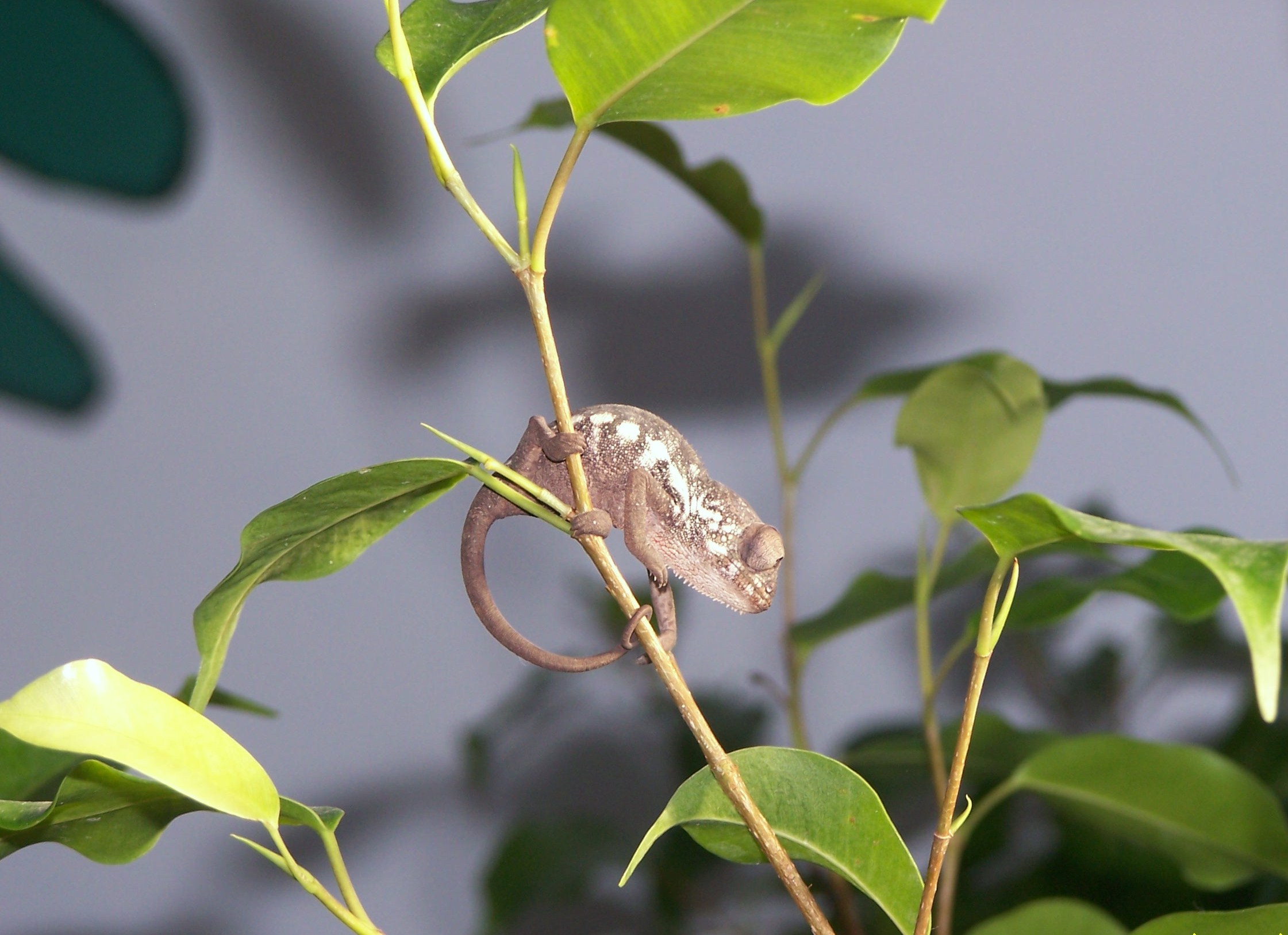 I'm so soooooo adorable :)