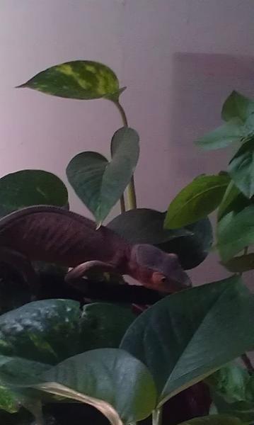 IMAG0125