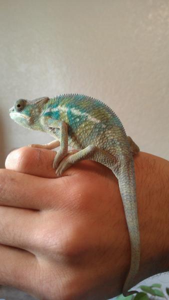 IMAG0213