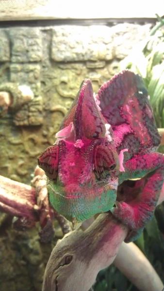 IMAG0249