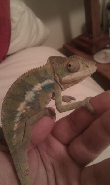 IMAG0585