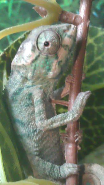 IMAG0597