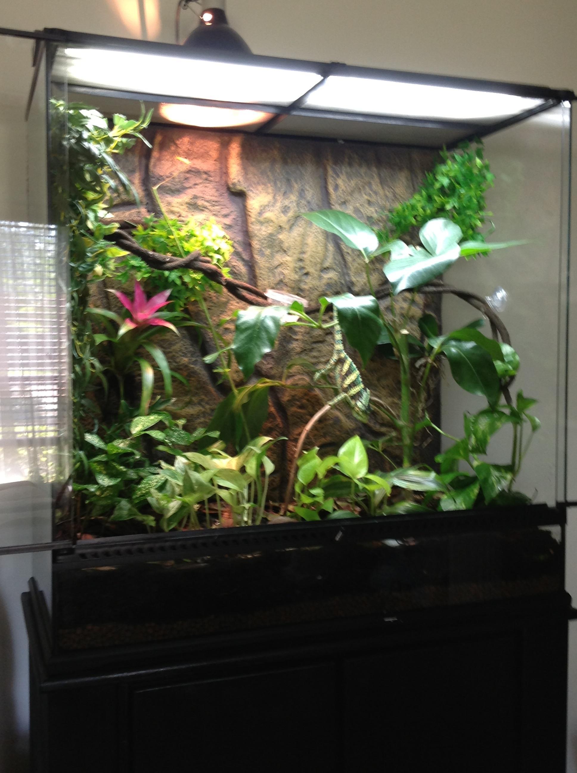 Image 417830