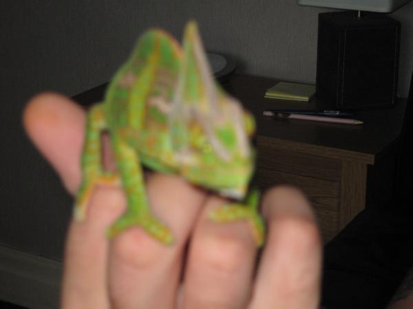 IMG 0713