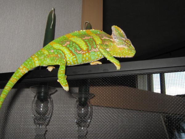 IMG 0715