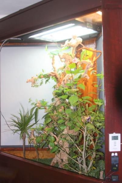 IMG 0944