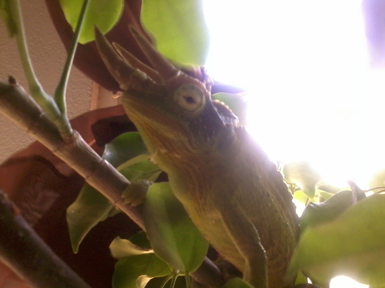 Img 20120626 095919