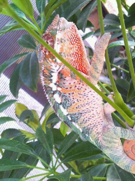 IMG 20120912 WA000
