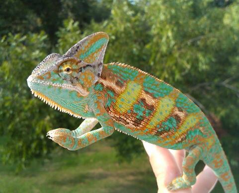 IMG 20130913 092225 1