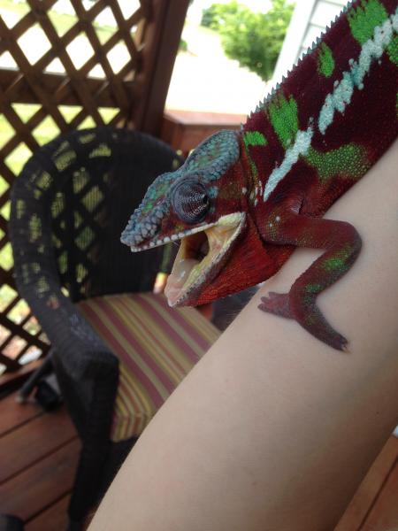 IMG 2341 He still hates cameras