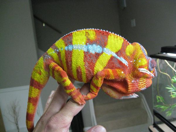 IMG 3478