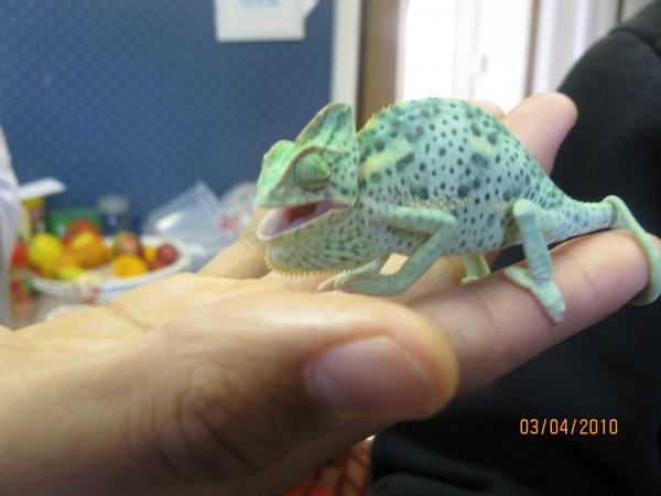 IMG 3559