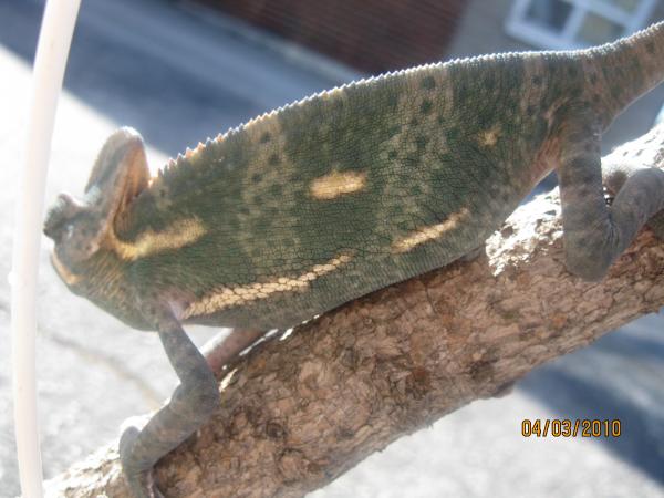 IMG 4487