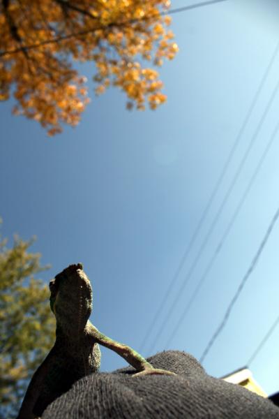 IMG 7329