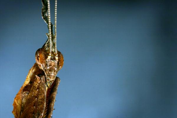 IMG 8948[1]