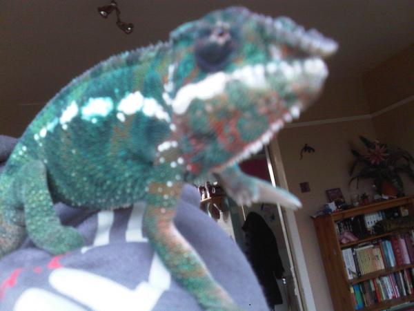 IMG00106 20120127 1345