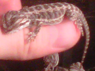 IMG00162 20100927 2204