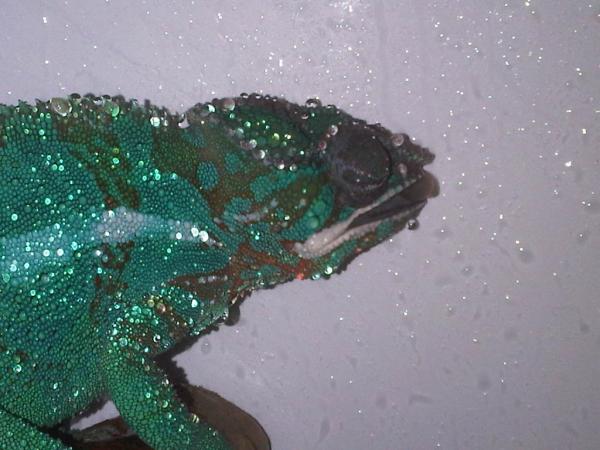 IMG00461 20121125 1047