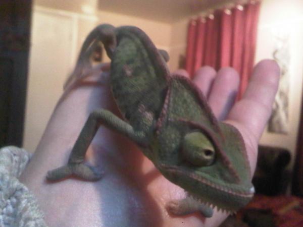 IMG00473 20121125 1734