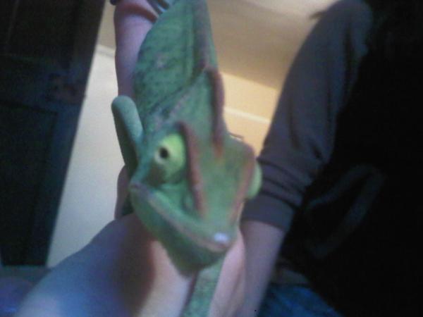 IMG00479 20121125 1736