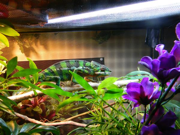 In his everyday attire