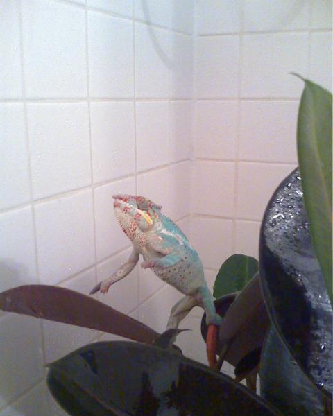 in the shower, really enjoying himself! 9.5 months