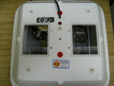 Incubator (hova-bator) Pic #4