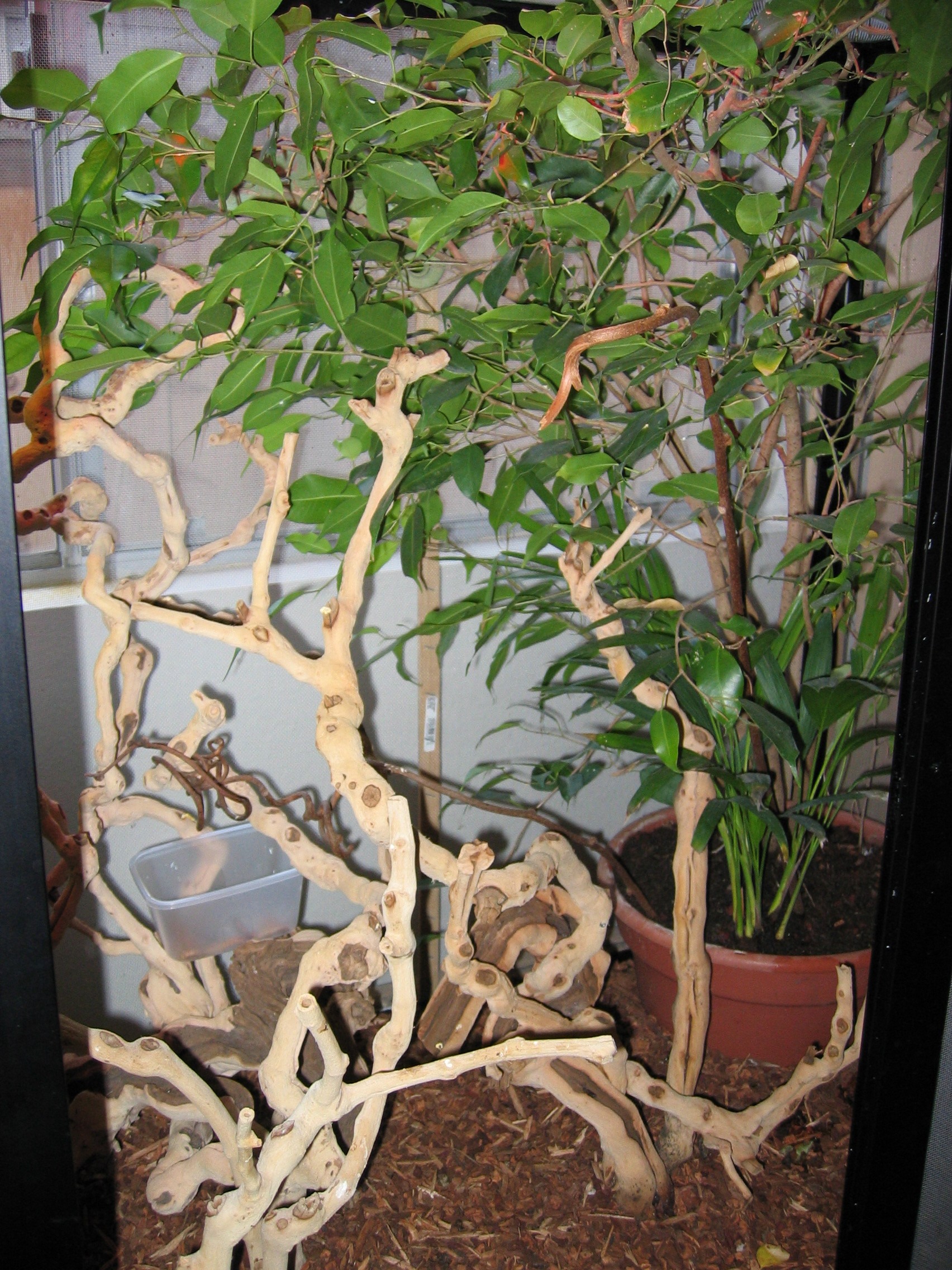 Inside of Lady B's House.