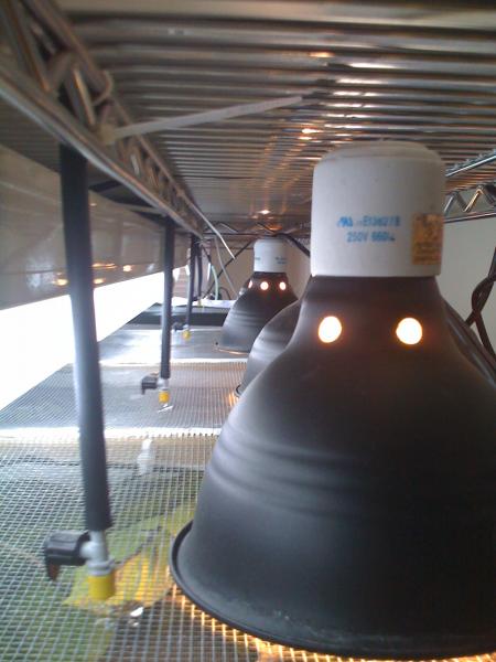 Inside rack lighting position and misting