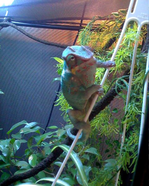 is that a camera in your hand?
9 months old