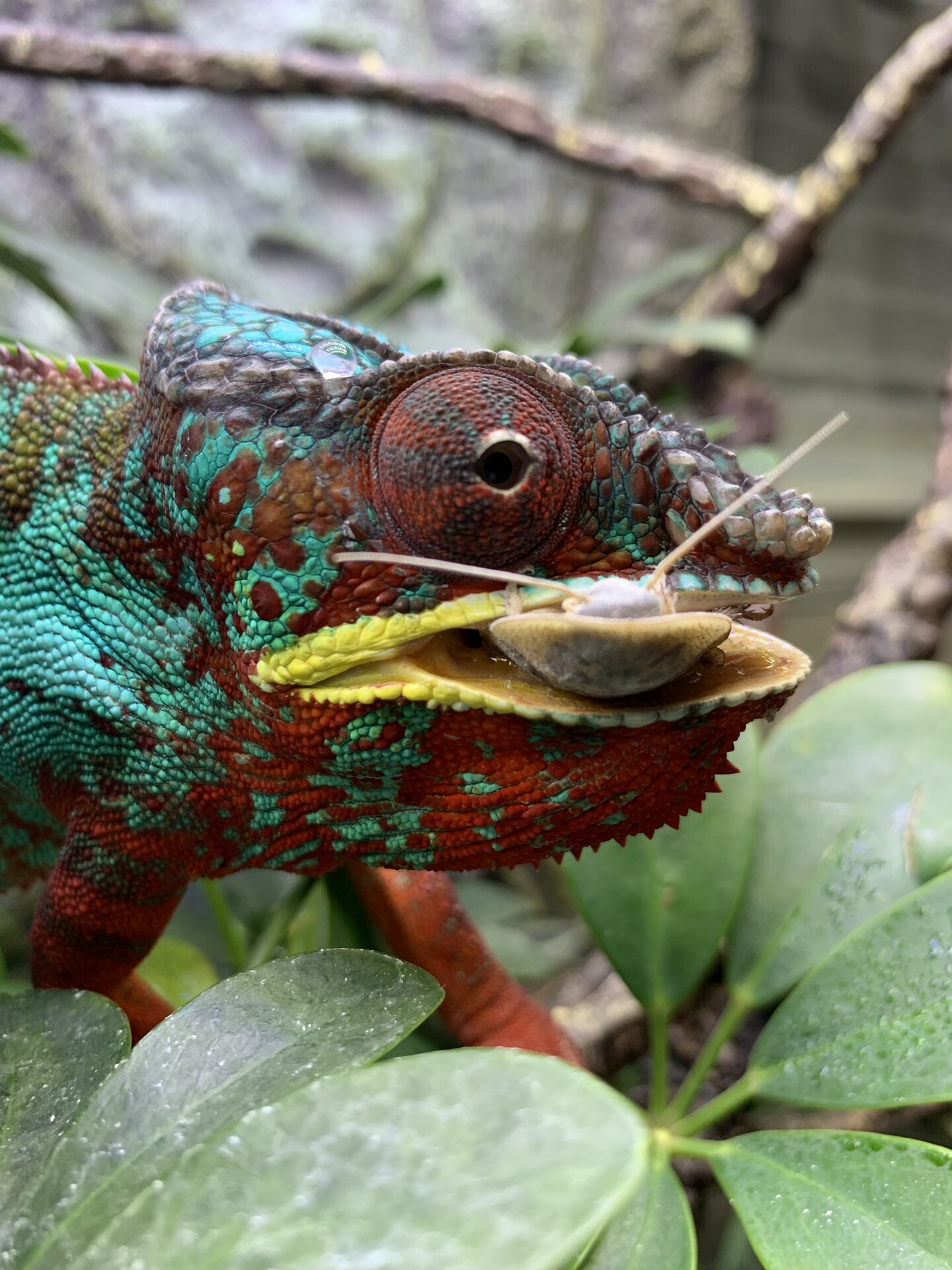 Is there something stuck in my teeth!?