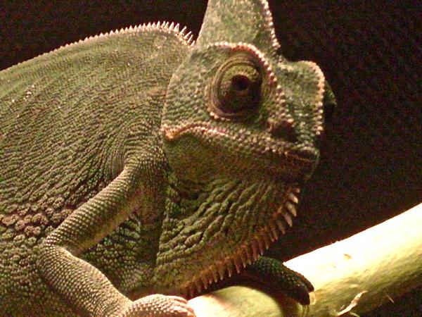 Isabella Basking like a champ