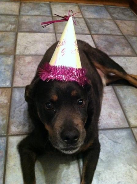it really wasn't his birthday :(
