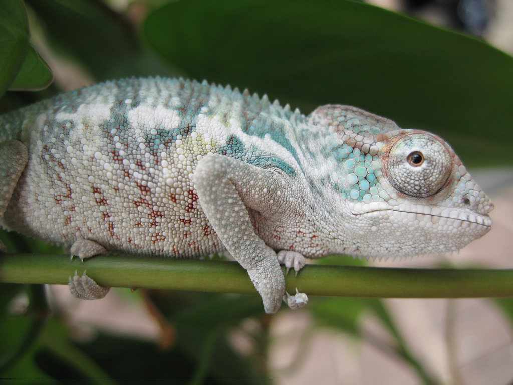 I've Got My Eyes On You