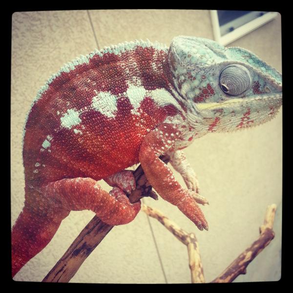 Jager outside